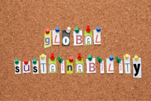 Global sustainability