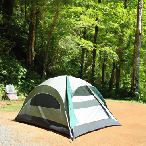 Top 7 Leave No Trace Camping Principles